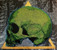 Psychonautes Skull